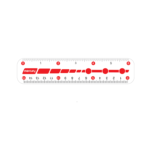 Mercury Plastic Scale
