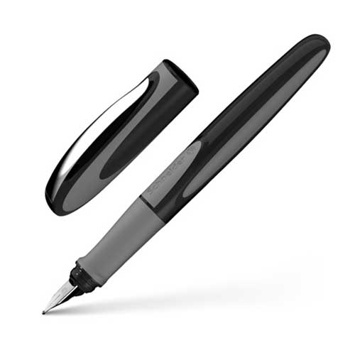 Schneider Ray Fountain Pen